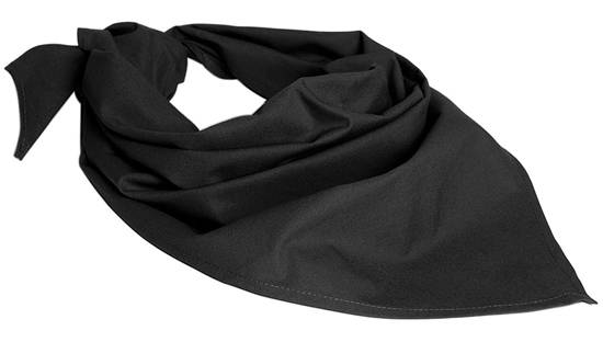 BW Dreieckstuch original schwarz BW Dreieckstuch original schwarz