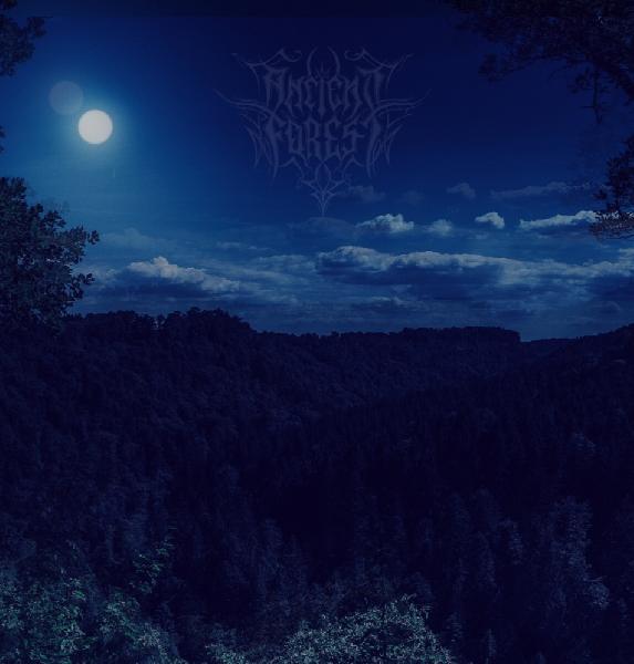 Ancient Forest - Into the dark Kingdom Ancient Forest - Into the dark Kingdom