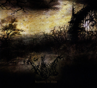 Wanderer - Bypassing the Abyss Wanderer - Bypassing the Abyss